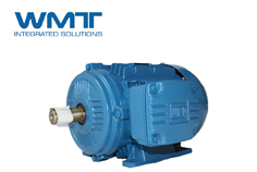 萬(wàn)高電機(jī)人員為大家分享高壓電機(jī)溫升過(guò)高的原因