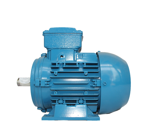 低壓電機(jī)運(yùn)轉(zhuǎn)時(shí)可能會(huì)出現(xiàn)哪些故障