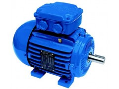 防止三相異步電動機過熱的冷卻方式有哪些？