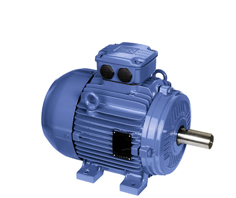 進(jìn)口高效節(jié)能WEG電動(dòng)機(jī)在國內(nèi)的發(fā)展