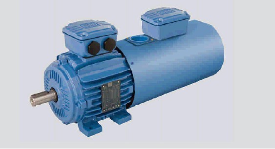 鑄鐵機座W21高效變頻電機有哪些特征?