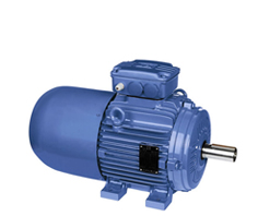 江蘇省生產(chǎn)高效節(jié)能電機(jī)進(jìn)口品牌電機(jī)廠商？