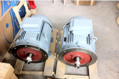 高效電機(jī)隨著國(guó)家補(bǔ)貼力度政策實(shí)施將呈現(xiàn)快速發(fā)展的趨勢(shì)