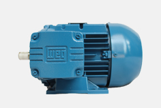 WEG電機(jī)高效節(jié)能 市場(chǎng)反響越來越好