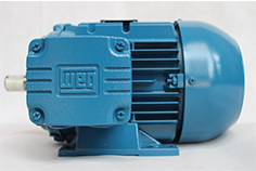 簡析WEG電機(jī)型號的含義