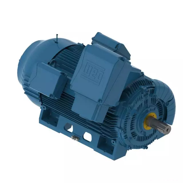 W50系列緊湊型大功率三相異步電機(jī)