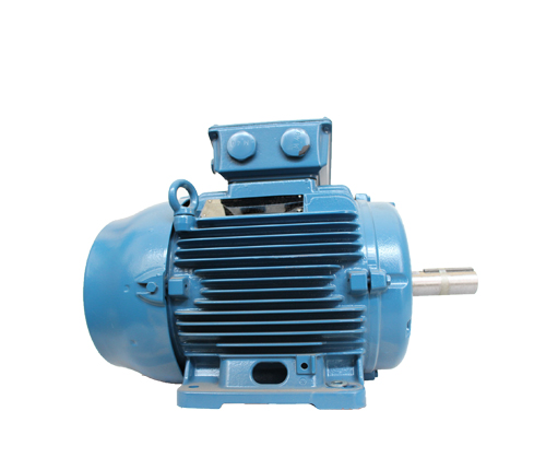 高壓電機(jī)定子線圈故障如何解決