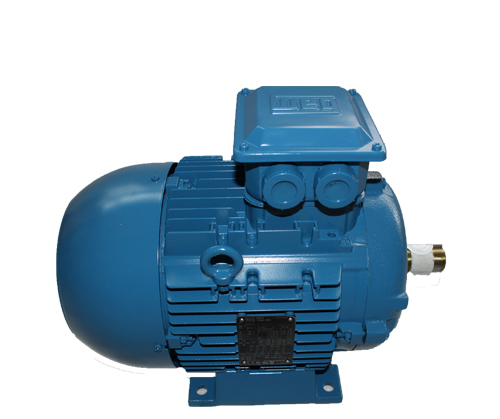 高效電機(jī)的電機(jī)軸分類(lèi)與應(yīng)用