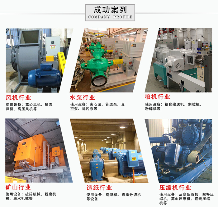 WEG電機(jī)行業(yè)應(yīng)用案例