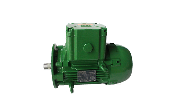 防爆電機(jī)的標(biāo)準(zhǔn)介紹 防爆電機(jī)的標(biāo)準(zhǔn)介紹
